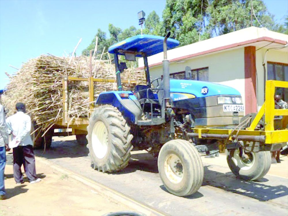 Why Kenyan sugar prices rise, likely to keep soaring