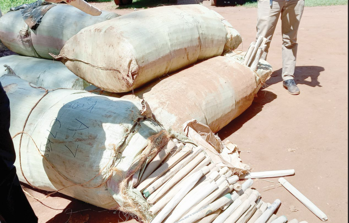 Five in court over bhang worth Ksh4m