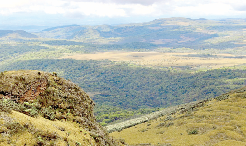 Concerns over Mau Mau Road’s threat to wild animals, forests and watershed