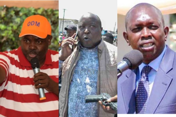 Aladwa, Arama, Sudi top list of inactive MPs in latest report