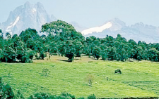 Mt Kenya Land