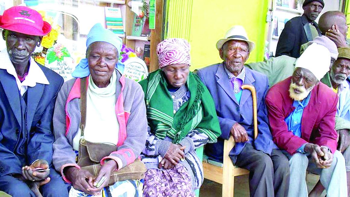 Listing of elderly to kick off next month