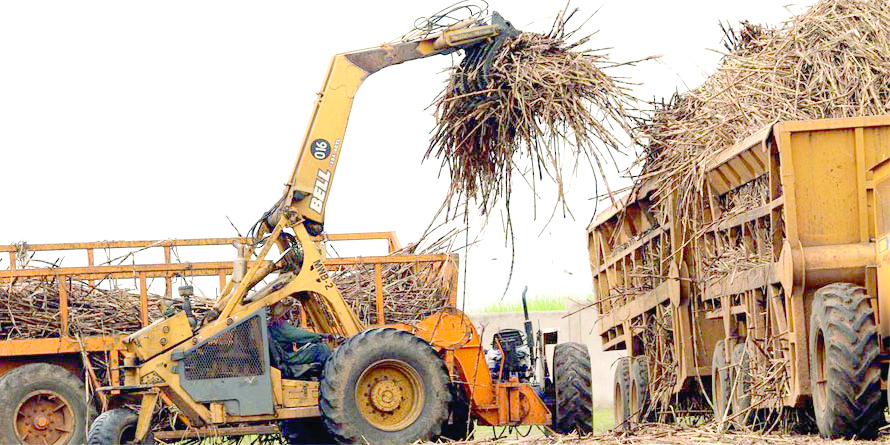 Building trust to revitalise ailing sugar sector