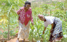 Women still struggling to break the glass ceiling in agriculture