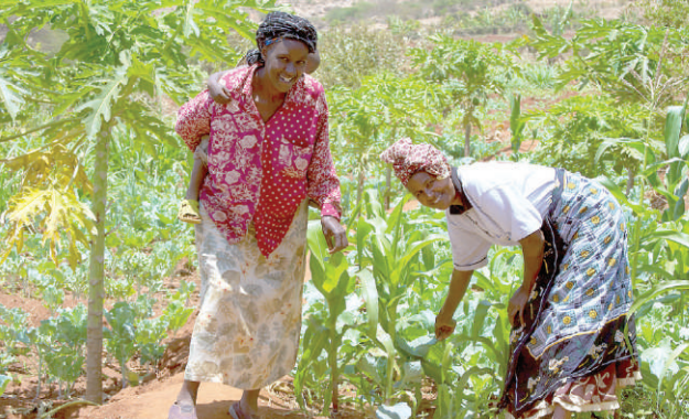 Women still struggling to break the glass ceiling in agriculture