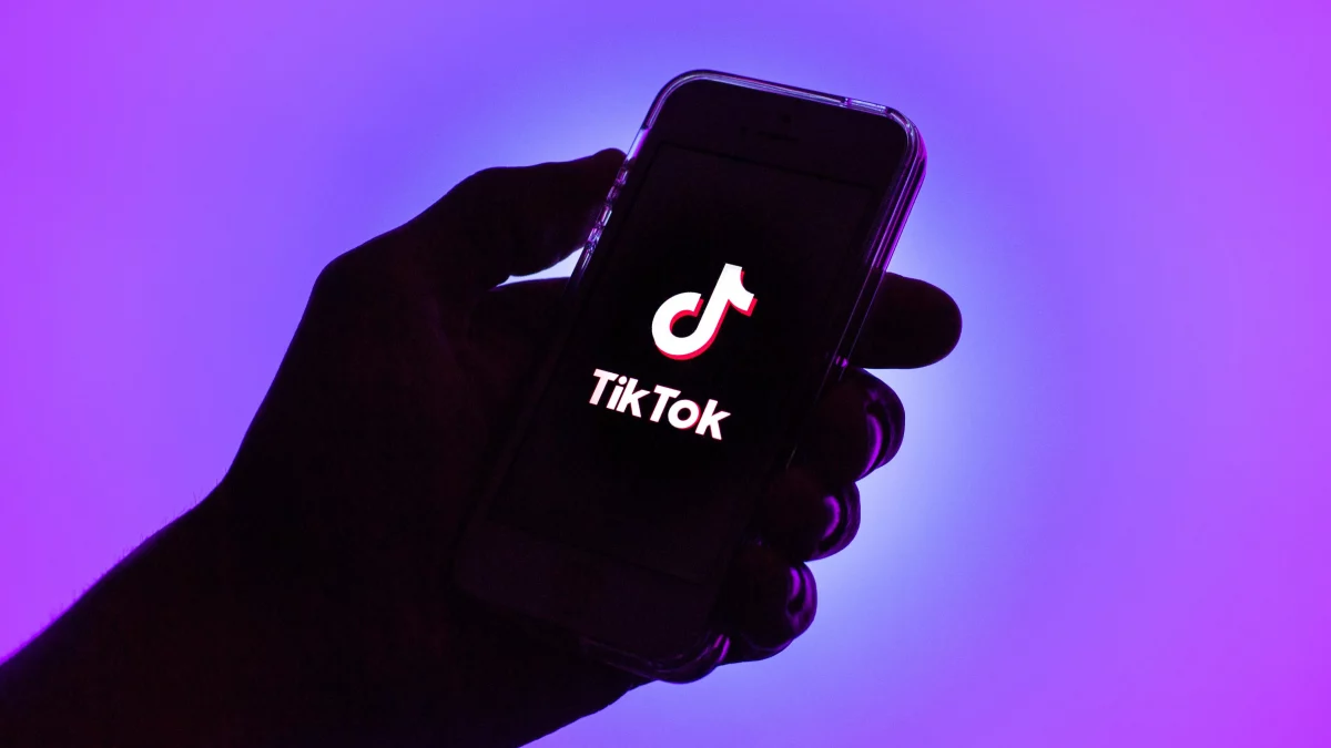 Petitioner asks Parliament to ban TikTok videos