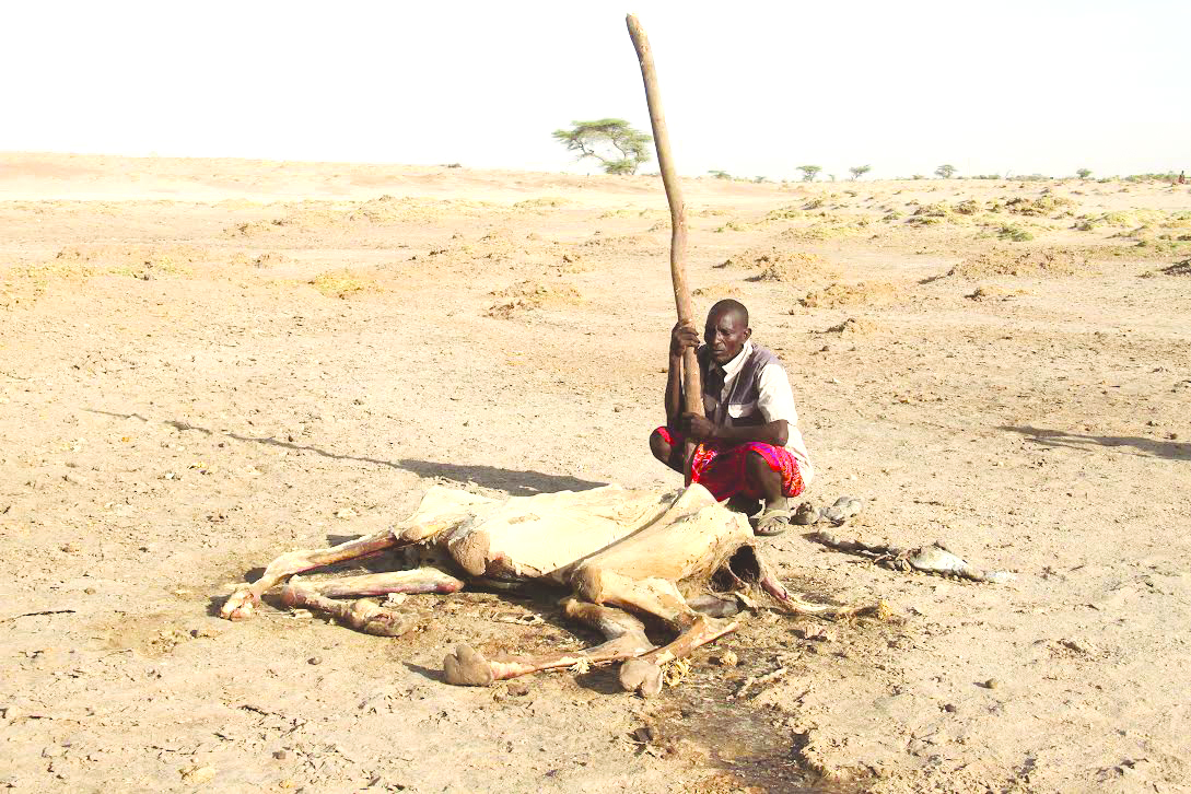 Climate shocks fueling conflict among pastrolists in ASALs