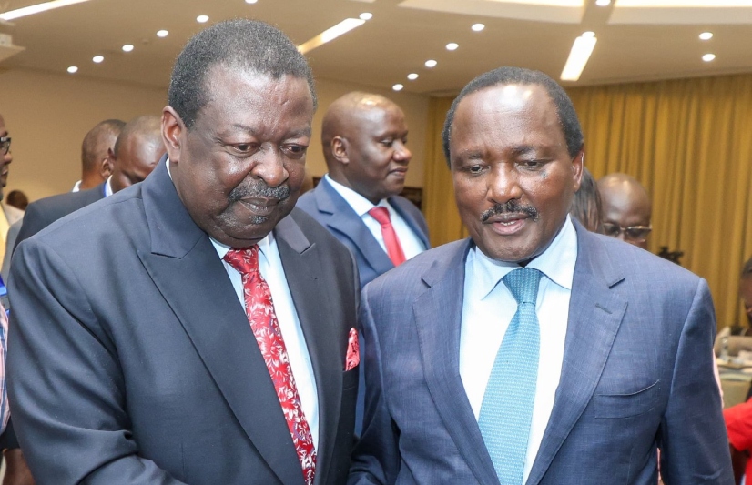 Mudavadi, Kalonzo differ over reconstitution of IEBC