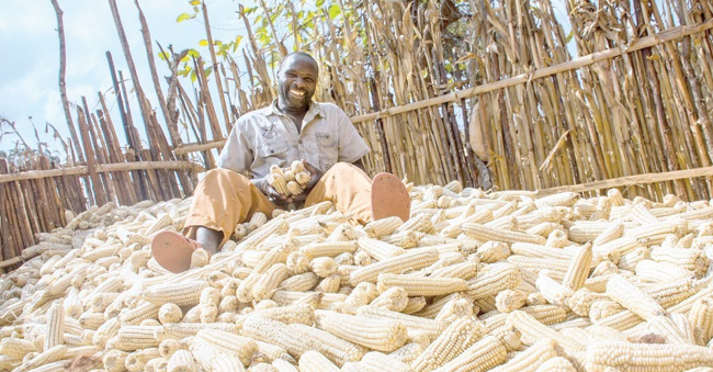 Uasin Gishu Ward Reps want farmers provided with maize driers