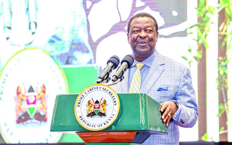 Prime Cabinet Secretary Musalia Mudavadi. PHOTO/Print