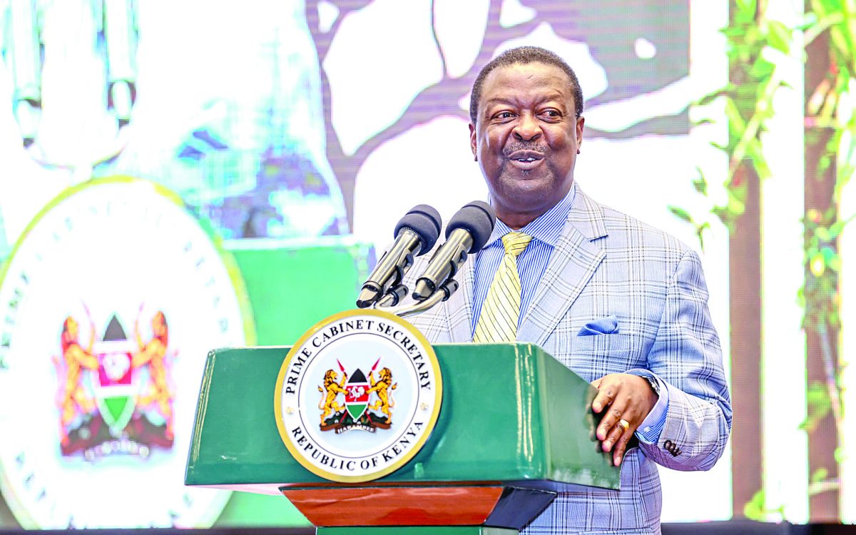 Pain will be short-lived, Mudavadi tells Kenyans