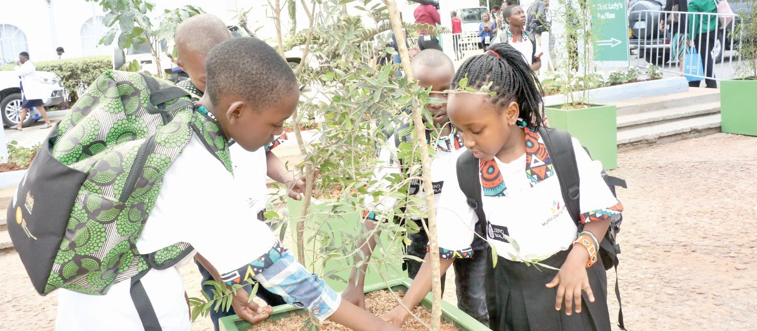 Nairobi climate declaration is a sham – activists
