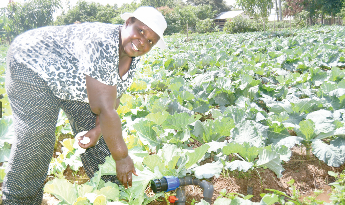 Bishop delivers gospel of food security from pulpit