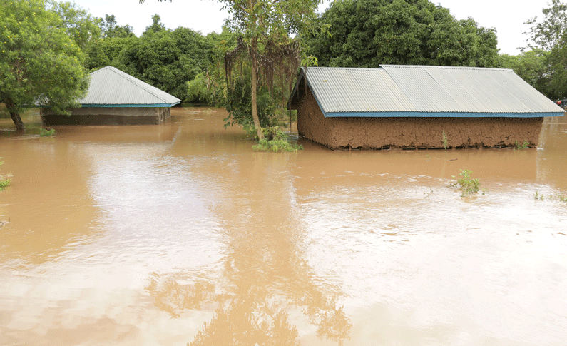 Climate change deals blow to learning