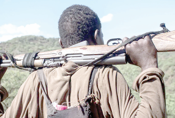Security alert as bandits strike