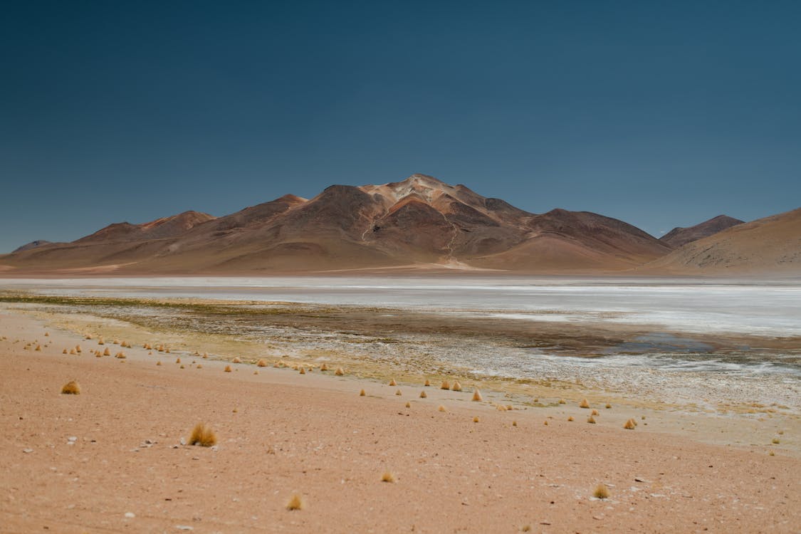 Role of private sector in combating climate change