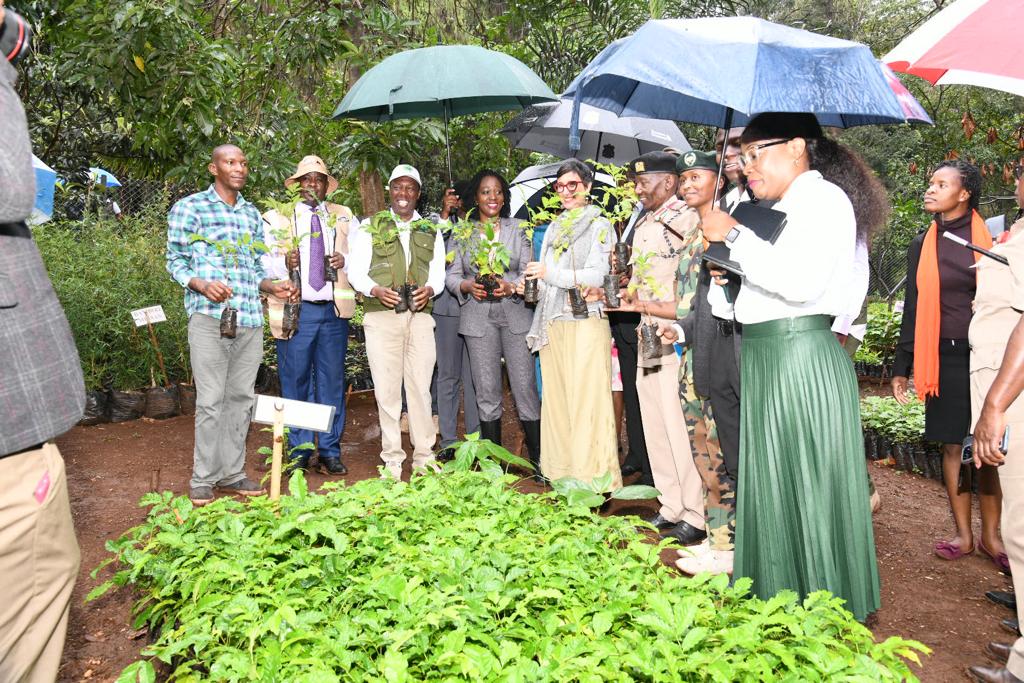 Gov’t keen to plant 500 million trees by December