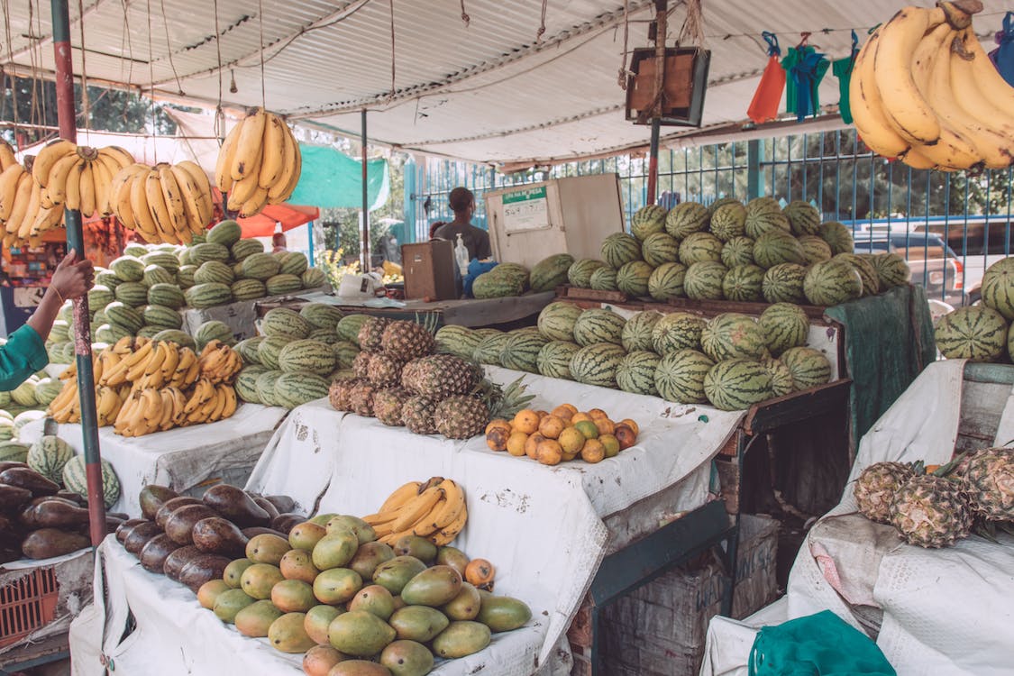 Professionals push for transformative agricultural systems to boost food security