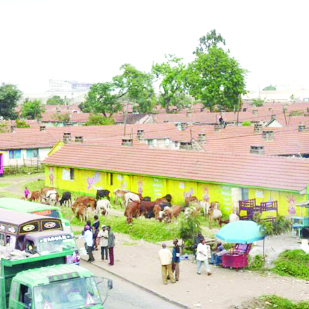 The untold sports legacy of Eastlands