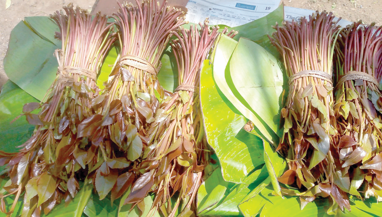 State proposes new miraa handling rules