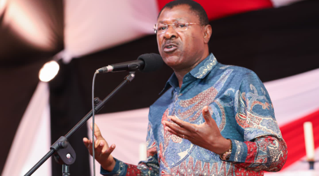 Jubilee party calls out Wetang’ula over delayed removal of Sabina Chege as deputy minority whip