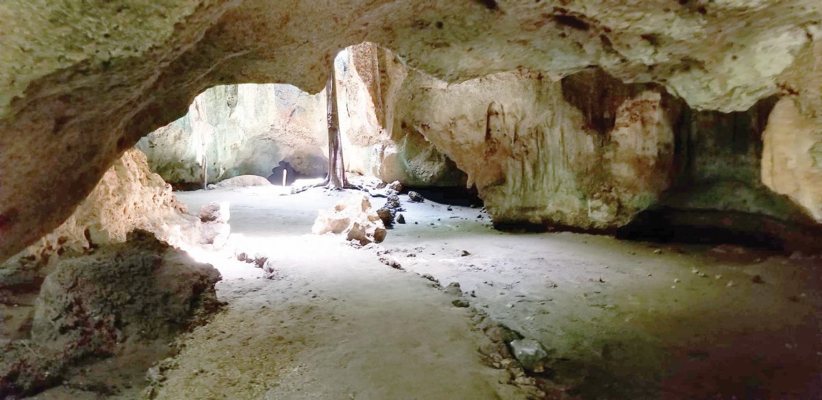 Whittaker’s death rekindles memories of Shimoni caves