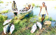 Fishermen at Lake Turkana. PHOTO/Print