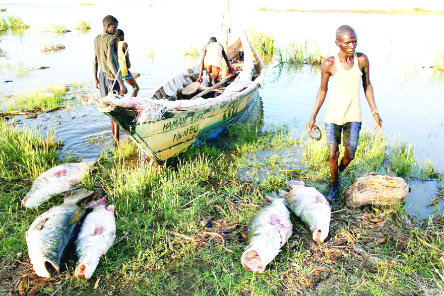 Fishermen at Lake Turkana. PHOTO/Print