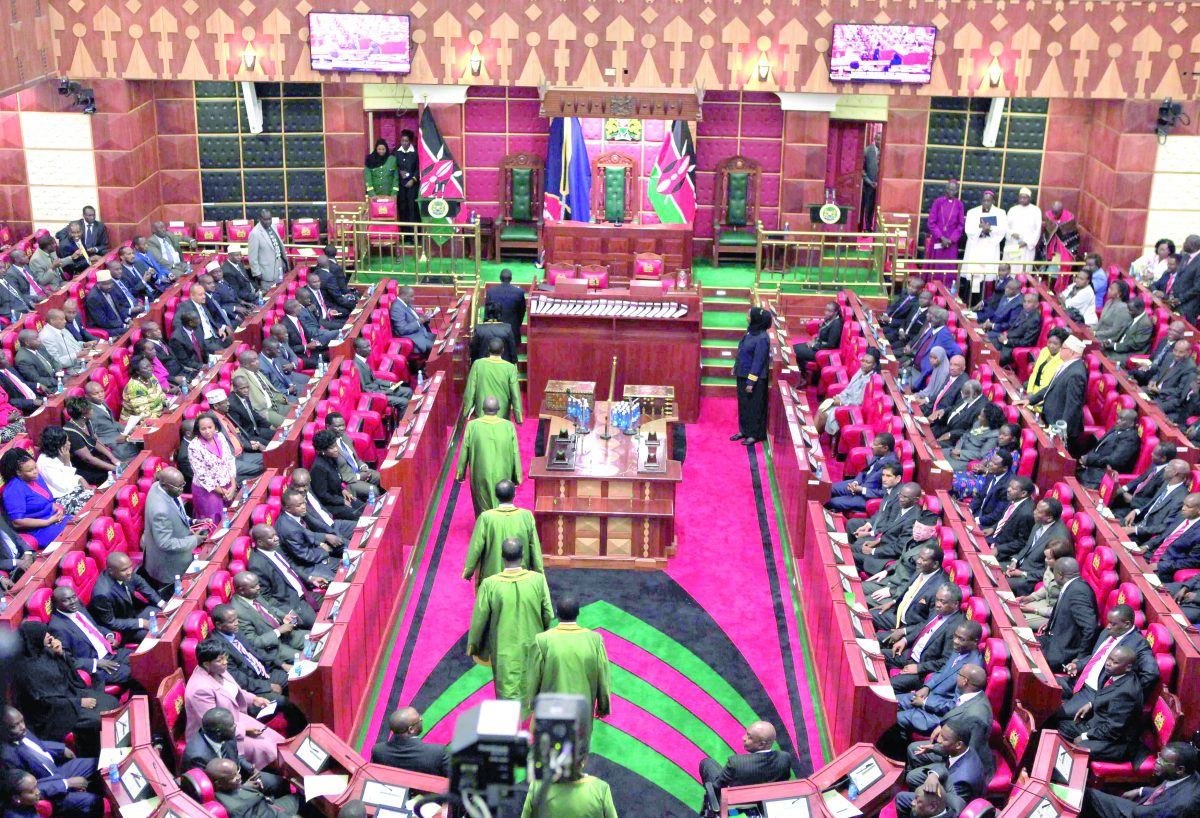 Parliament endorses increase in primary schools capitation