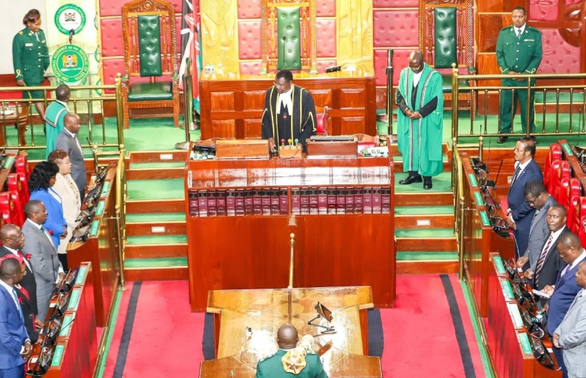 MPs sharply divided over police deployment to Haiti