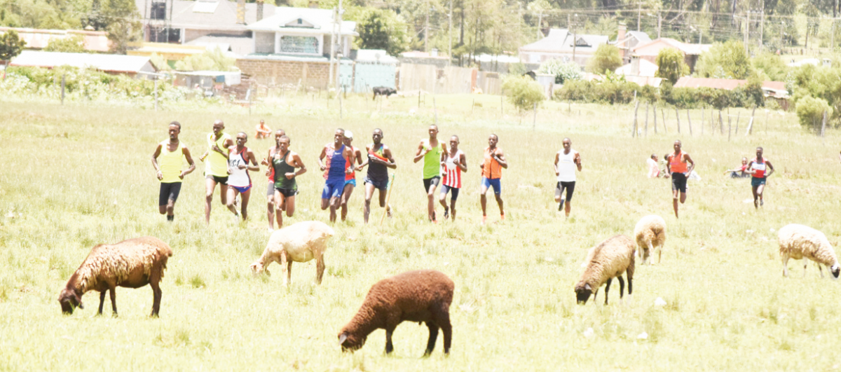 Nyandarua keen to stage trials for World X-Country