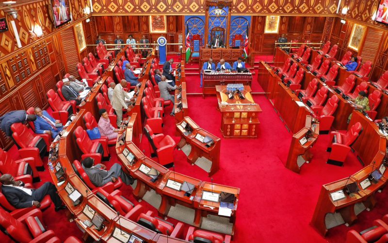 The Senate in session.