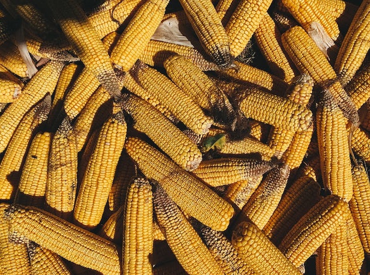 We need to address post-harvest losses urgently