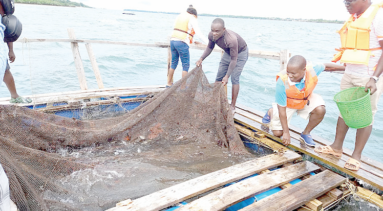 Kwale fisher folk get new skills to boost production