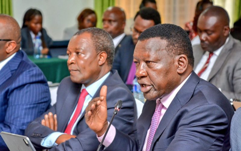 Energy CS Davis Chirchir appearing befor the National Dialogue Committee.