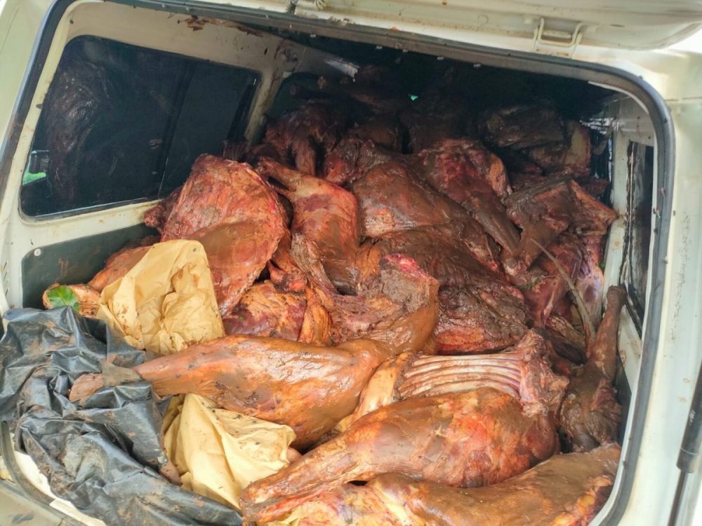 Murang’a: 30 donkey heads, other body parts destined for meat market in Nairobi intercepted