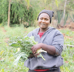 Sand dams bolster harvests in Kitui’s dry, semi-arid areas