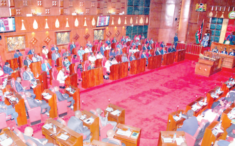 Nairobi County Assembly in session. PHOTO/Print