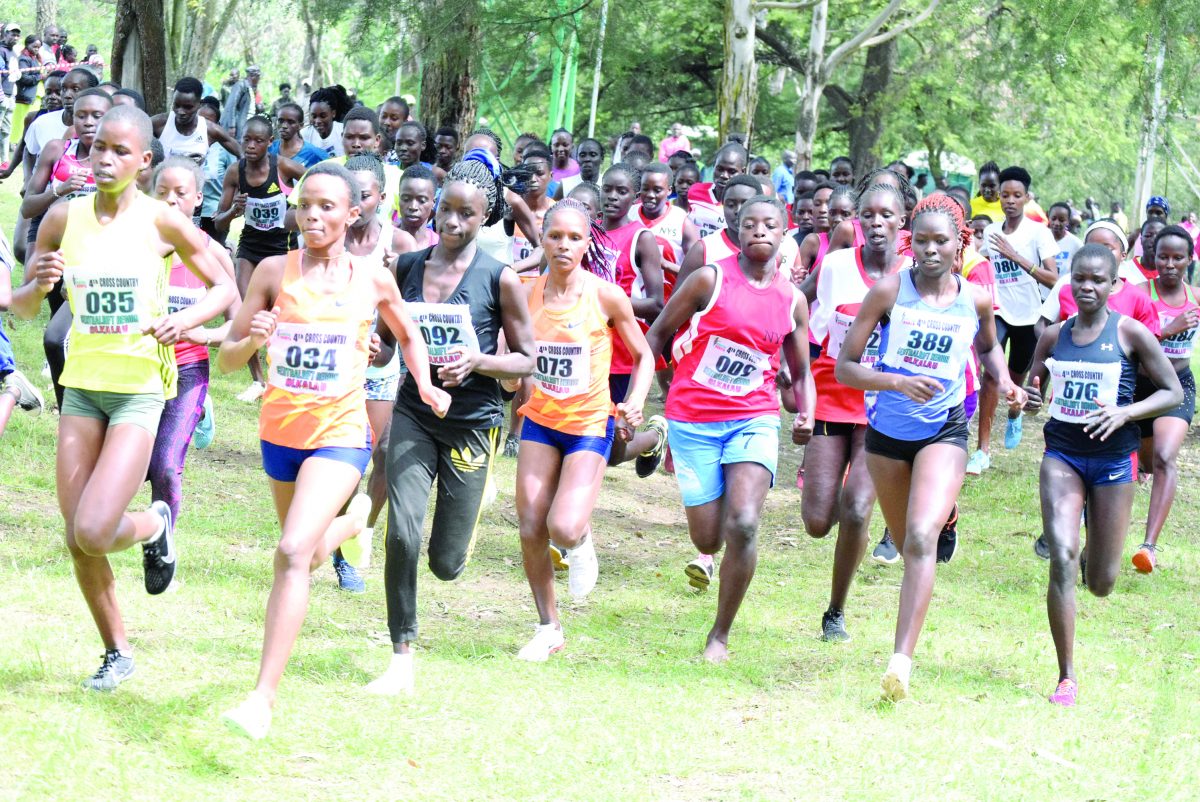 All set for Ol Kalou Athletics Kenya Cross Country leg