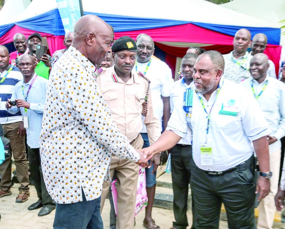 PhD teachers in primary schools to be promoted