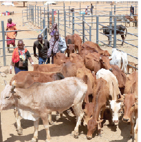 Meat prices soar in Kajiado on livestock supply shortage