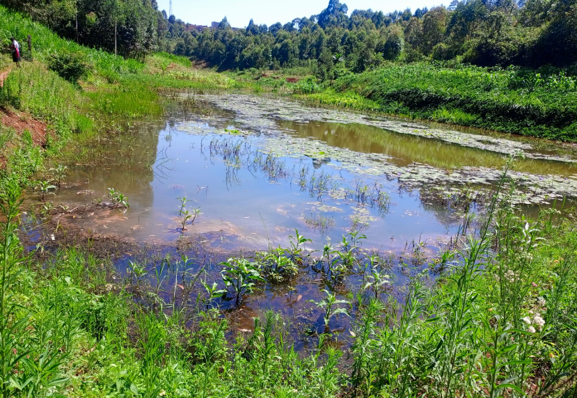 Tragedy as two minors drown in Nyeri dam