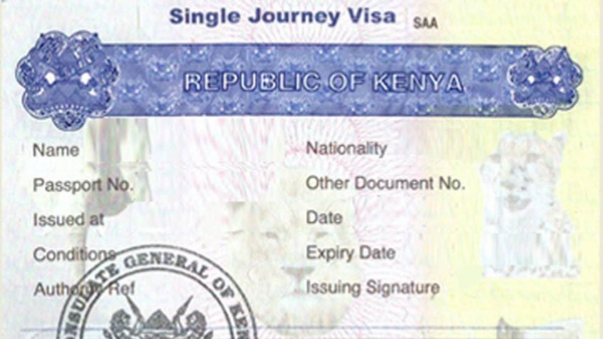 Backlash as ‘hectic’ visa-free entry system operationalised