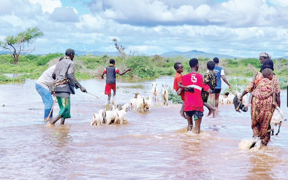 Crime levels highest in Nairobi and Western regions, TIFA survey shows