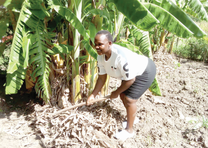 Farmer shifts to organic fertiliser for better yields