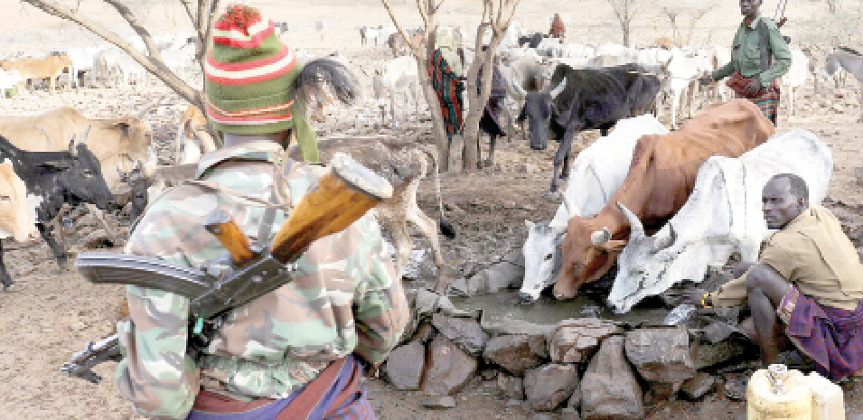 Tension looms as Pokot herders seek pasture in Uganda