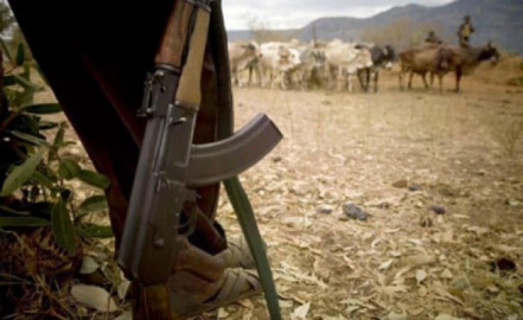 Police reservist killed, 5 injured in Laikipia raid