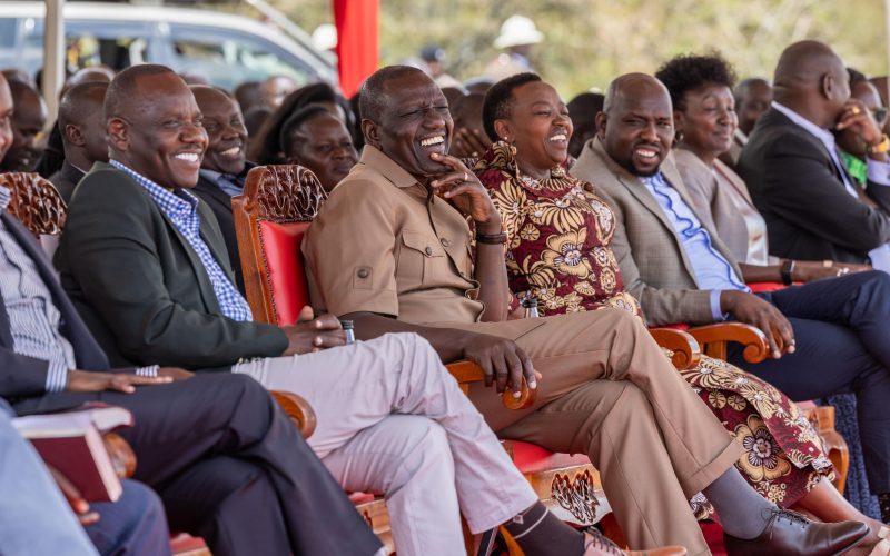 'I'm the advocate for jobless youths' - Ruto on petition challenging housing levy