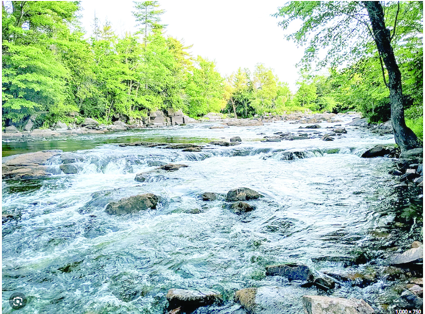 Agencies in new partnership to protect water ecosystem