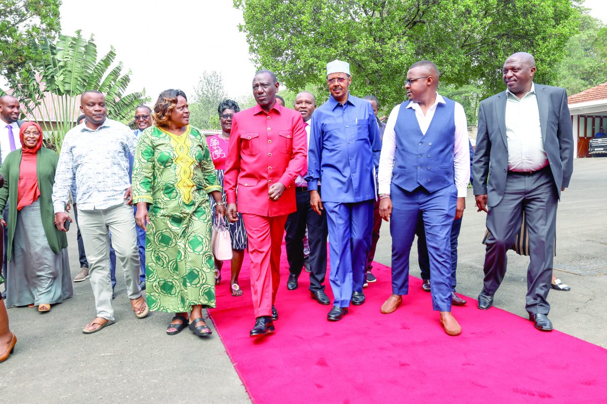 President’s date with MCAs from Jubilee to attract Opposition’s ire